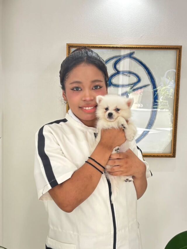#担当犬 🐶が来ました⭐️

 #日本スピッツ の「きあ」ちゃんです💕

ヒゲが内巻きになっているちょっと珍しい女の子🤭
穏やかな性格でママメロメロです😍❣️

これから一緒に訓練頑張ろう👍️
🐾
🐾
🐾
#いばらきどうぶつ専門学校 #いばらき動物専門学院 #動物専門学校 #動物 #トリマー #ドッグトレーナー #家庭犬訓練士 #動物看護師 #動物臨床助士 #飼育員 #🐶 #dog #doglover #土浦 #土浦駅 #水戸 #水戸動物専門学校  #つくば #日立 #担当犬 #パートナードッグ #犬 #かわいい⁡⁡#オンリーワンちゃん #スピッツ #にほんすぴっつ