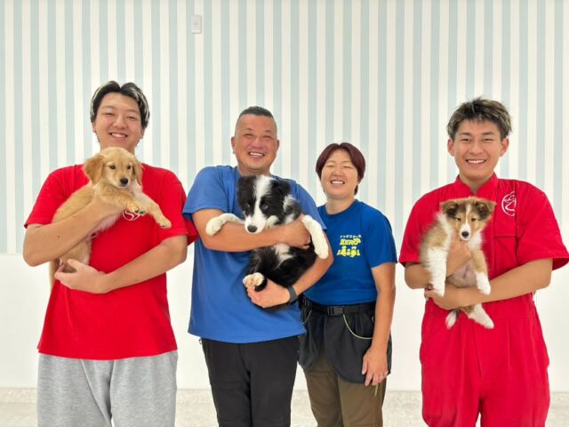 夏休みの登校日🏕️
#訓練実習 は犬🐶のしつけ、訓練教室オーナーのS先生とH先生の授業でした✨

今日は基礎訓練をメインで行いました‼️
１年生は担当犬をみていただきました🐶
子犬のうちにできることをしっかりやってスムーズに訓練を入れられるよう頑張ろう🔥

先生、次回もよろしくお願いいたします🙇
🐾⁡
⁡🐾⁡
⁡🐾
⁡⁡⁡⁡#いばらきどうぶつ専門学校 #いばらき動物専門学院 #動物専門学校 #いばどう #土浦市 #トリマー #ドッグトレーナー #動物看護師 #動物臨床助士 #飼育員 #ライセンス取得 #実習 #パートナードッグ #可愛い #iASC #いば動 #茨城 #動物 #専門 #学校 #犬 #オープンキャンパス #個別面談 #水戸動物専門学校 #dogschoolzero⁡ #現役のプロから教わる授業