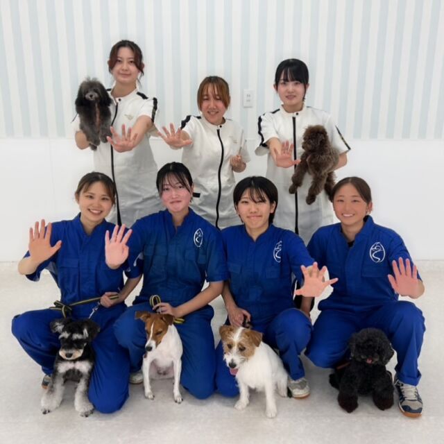 本日は夏休みの暑い中☀️オープンキャンパスにたくさんの方にご参加いただき🥰ありがとうございました✨

お手伝いしてくれた在校生もいつもありがとう🙇‍♀️✨

実際に各科の実習を体験してもらい、嬉しいお言葉も沢山いただけました☺️‪🫶在校生のお手伝いのお陰😘ほんと‼️いつもありがとう😊
今流行りの #鬼滅の刃 で #猗窩座 ポーズ📸👊

次回のオープンキャンパスは9月13日(土)です✨

イベントの日程やご予約はプロフィール欄から
HPへGO👉@iasc_iasc
🐾
🐾
🐾
⁡⁡⁡⁡⁡⁡#いばらきどうぶつ専門学校 #いばらき動物専門学院 #動物専門学校 #いばどう #土浦市 #トリマー #ドッグトレーナー #動物看護師 #動物臨床助士 #飼育員 #ライセンス取得 #パートナードッグ #iASC #いば動 #茨城 #動物 #専門 #学校 #犬 #オープンキャンパス #個別面談 #体験会 #水戸動物専門学校 #ジャックラッセルテリア #ボーダーコリー #ミニチュアピンシャー  #優しい先輩 #在校生ありがとう
