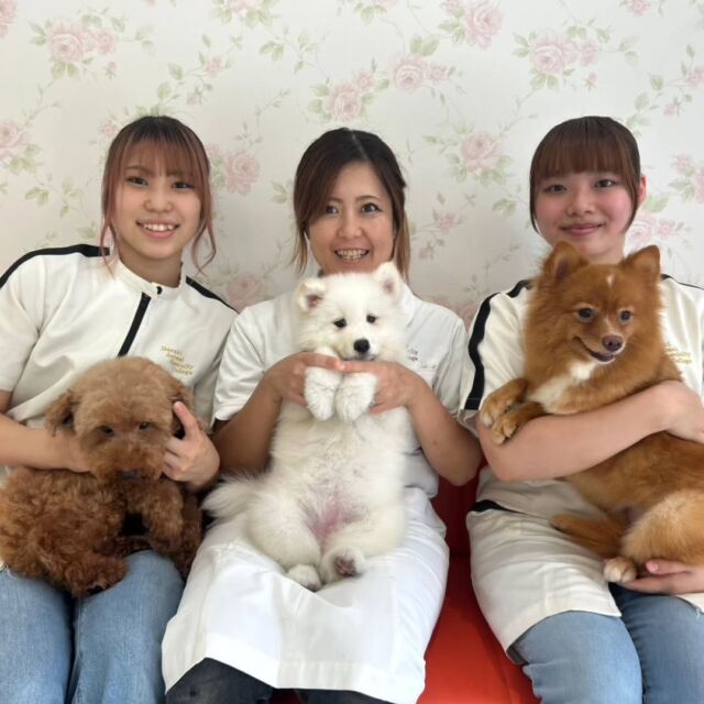 本日はペットサロンオーナーN先生の #美容実習 でした🐶✨

その子にあったグルーミング方法や扱い方をとても丁寧に教えてくださいました‼️

本日はありがとうございました。
次回もまたお願いします🙏
🐾
🐾
🐾
#いばらきどうぶつ専門学校 #いばらき動物専門学院 #動物専門学校 #動物 #トリマー #ドッグトレーナー #家庭犬訓練士 #動物看護師 #動物臨床助士 #飼育員 #🐶 #dog #doglover #土浦 #土浦駅 #水戸 #水戸動物専門学校  #つくば #日立 #担当犬 #パートナードッグ #犬 #かわいい⁡⁡#オンリーワンちゃん #プードル #トイプードル