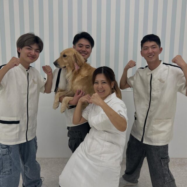 本日はペットサロンオーナーN先生による #美容実習 でした🐶✨

テスト前の学生に的確なアドバイスを😢💞
現場で必要な内容など様々なことを教えてくださいました！

放課後はN先生の相棒 #ゴールデンレトリーバー のドルちゃん💰と沢山遊びました🤥
可愛いドルちゃんと記念撮影📸

本日はありがとうございました。
次回もまたお願いします🙏
🐾
🐾
🐾
#いばらきどうぶつ専門学校 #いばらき動物専門学院 #動物専門学校 #動物 #トリマー #ドッグトレーナー #家庭犬訓練士 #動物看護師 #動物臨床助士 #飼育員 #🐶 #dog #doglover #土浦 #土浦駅 #水戸 #水戸動物専門学校  #つくば #日立 #担当犬 #パートナードッグ #犬 #かわいい⁡⁡#オンリーワンちゃん