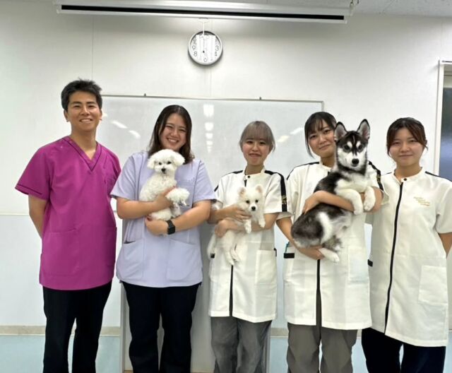 本日は獣医師I先生と動物⁡看護師のM先生による #手術実習 とワクチン接種等をありました✨
⁡⁡
ワクチン接種時の保定の仕方のコツやワクチン後に起こり得る症状等を教えていただきました💉

また、シリンジの使い方や元気な子の保定の仕方を分かりやすく教えていただきとても勉強になりました👀✨

I先生、M先生本日もありがとうございました❣️
今後ともよろしくお願いいたします😌
🐾
 🐾
 🐾
 #いばらきどうぶつ専門学校 #いばらき動物専門学院 #動物専門学校 #いばどう #土浦市 #トリマー #ドッグトレーナー #動物看護師 #動物臨床助士 #飼育員 #ライセンス取得 #実習 #パートナードッグ #可愛い #iASC #いば動 #茨城 #動物 #専門 #学校 #犬 #オープンキャンパス #個別面談 #体験会 #水戸動物専門学校 #現役のプロから教わる授業 #動物病院