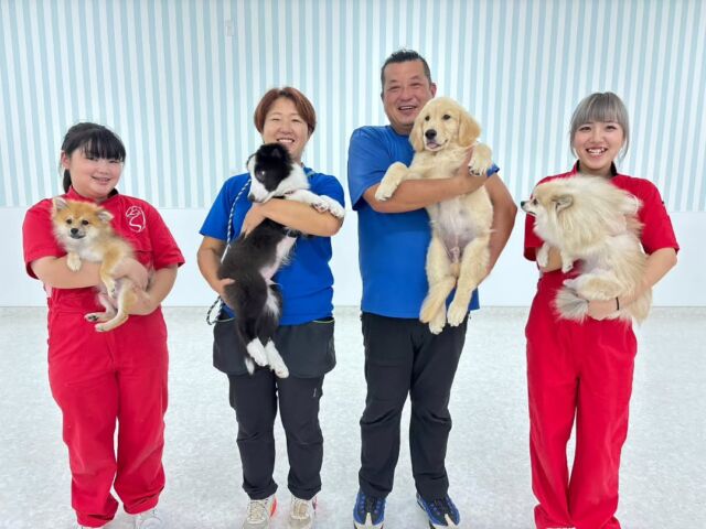 #訓練実習 は犬🐶のしつけ、訓練教室オーナーのS先生とH先生の授業でした✨

今日は基礎訓練をメインで行いました‼️
2年生は競技会の模擬練習✨
１年生担当犬の基本訓練を行いました🔥

先生、次回もよろしくお願いいたします🙇
🐾⁡
⁡🐾⁡
⁡🐾
⁡⁡⁡⁡#いばらきどうぶつ専門学校 #いばらき動物専門学院 #動物専門学校 #いばどう #土浦市 #トリマー #ドッグトレーナー #動物看護師 #動物臨床助士 #飼育員 #ライセンス取得 #実習 #パートナードッグ #可愛い #iASC #いば動 #茨城 #動物 #専門 #学校 #犬 #オープンキャンパス #個別面談 #水戸動物専門学校 #dogschoolzero⁡ #現役のプロから教わる授業