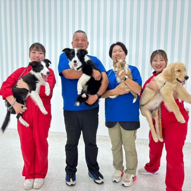 #訓練実習 は犬🐶のしつけ、訓練教室オーナーのS先生とH先生の授業でした✨

今日は基礎訓練をメインで行いました‼️
涼しくなり競技会シーズンです🍁
競技会で活躍出来るようたくさんアドバイスをいただきました😊

先生、次回もよろしくお願いいたします🙇
🐾⁡
⁡🐾⁡
⁡🐾
⁡⁡⁡⁡#いばらきどうぶつ専門学校 #いばらき動物専門学院 #動物専門学校 #いばどう #土浦市 #トリマー #ドッグトレーナー #動物看護師 #動物臨床助士 #飼育員 #ライセンス取得 #実習 #パートナードッグ #可愛い #iASC #いば動 #茨城 #動物 #専門 #学校 #犬 #オープンキャンパス #個別面談 #水戸動物専門学校 #dogschoolzero⁡ #現役のプロから教わる授業