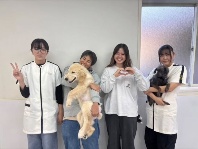 本日は獣医師I先生と動物⁡看護師のM先生による採血時の保定を学びました✨

保定でのポイントや遠心分離機の使い方などを学びました❣️

ただ保定するのではなく、ワンちゃんが辛くない姿勢にしたり工夫が大切🔥
みんな意識しながらできました👏✨

I先生、M先生本日もありがとうございました❣️
今後ともよろしくお願いいたします😌
🐾
 🐾
 🐾
 #いばらきどうぶつ専門学校 #いばらき動物専門学院 #動物専門学校 #いばどう #土浦市 #トリマー #ドッグトレーナー #動物看護師 #動物臨床助士 #飼育員 #ライセンス取得 #実習 #パートナードッグ #可愛い #iASC #いば動 #茨城 #動物 #専門 #学校 #犬 #オープンキャンパス #個別面談 #体験会 #水戸動物専門学校 #現役のプロから教わる授業 #動物病院