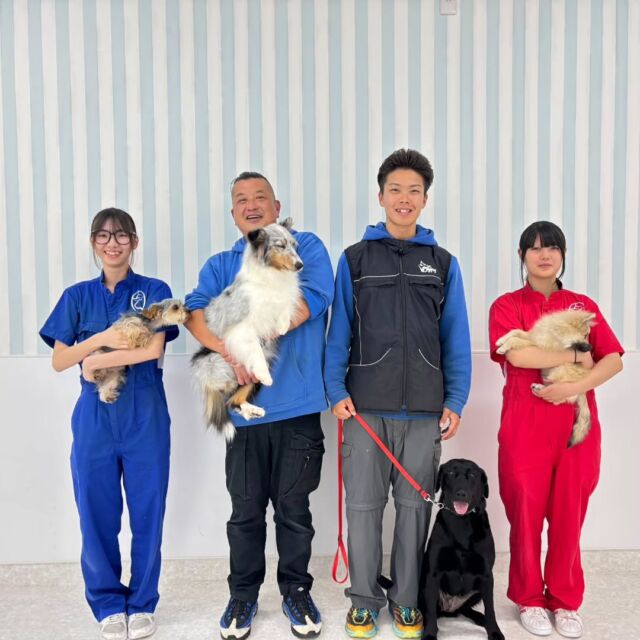 #訓練実習 は犬🐶のしつけ、訓練教室オーナーのS先生とT先生の授業でした✨

今日は基礎訓練とアジリティを行いました‼️

１年生の担当犬も新しい障害物にチャレンジ✨
最初は怖がっている💦子もいましたが最後は楽しそうでした🎶

先生、次回もよろしくお願いいたします🙇
🐾⁡
⁡🐾⁡
⁡🐾
⁡⁡⁡⁡#いばらきどうぶつ専門学校 #いばらき動物専門学院 #動物専門学校 #いばどう #土浦市 #トリマー #ドッグトレーナー #動物看護師 #動物臨床助士 #飼育員 #ライセンス取得 #実習 #パートナードッグ #可愛い #iASC #いば動 #茨城 #動物 #専門 #学校 #犬 #オープンキャンパス #個別面談 #水戸動物専門学校 #dogschoolzero⁡ #現役のプロから教わる授業