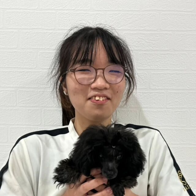 #担当犬 🐶が来ました✨

#トイプードル の「らん」くん🤍ᩚ

好奇心旺盛でとても活発な男の子🥰
これから一緒に頑張っていこうね❤️‍🔥
🐾
🐾
🐾
#いばらきどうぶつ専門学校 #いばらき動物専門学院 #動物専門学校 #動物 #トリマー #ドッグトレーナー #家庭犬訓練士 #動物看護師 #動物臨床助士 #飼育員 #🐶 #dog #doglover #土浦 #土浦駅 #水戸 #水戸動物専門学校  #つくば #日立 #担当犬 #パートナードッグ #犬 #かわいい⁡⁡#オンリーワンちゃん