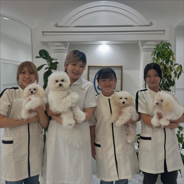 本日は現役のカリスマトリマーのＭ先生が指導に来てくださりました✨

今日は担当犬のショーカット🥷🏻
難易度の高いカットスタイルに大苦戦💦
教えてもらったことをしっかり復習して頑張っていこう💪

最後は #ビションフリーゼ のムルちゃん🎀
M先生の腕にすっぽり︎💕︎

本日もありがとうございました。
次回もまたよろしくお願いします🥰
🐾
🐾
🐾
#いばらきどうぶつ専門学校 #いばらき動物専門学院 #動物専門学校 #いばどう #土浦市 #トリマー #ドッグトレーナー #動物看護師 #動物臨床助士 #飼育員 #ライセンス取得 #実習 #パートナードッグ #可愛い #iASC #いば動 #茨城 #動物 #専門 #学校 #犬 #個別面談 #体験会 #現役のプロから教わる授業#トイ・プードル#プードル#トイプードル  #ビジョンフリーゼ