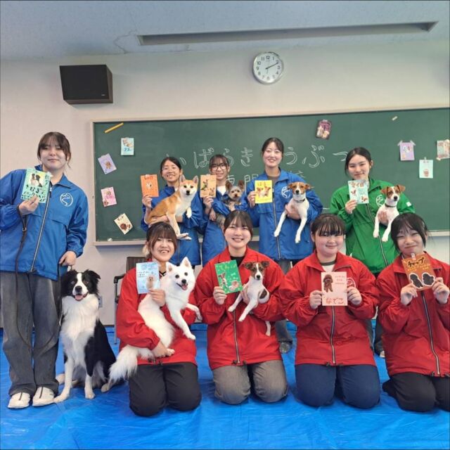 今日は高校の文化祭に参加させて頂きました🏫🥳

ワンちゃんふれあいコーナー🐕︎💕︎
おやつあげ体験を実施しました🍚✨️

昨日はハロウィンだった為素敵な仮装をした方々がたくさん🧙‍♀️

ワンちゃんもとっても幸せそうでした💞
｢おやつくれなきゃいたずらするぞ!!｣🐶🐾

たくさんのご来場ありがとうございました❣️

🐾⁡
⁡🐾⁡
⁡🐾⁡
⁡⁡⁡⁡⁡⁡⁡#いばらきどうぶつ専門学校 #いばらき動物専門学院 #動物専門学校 #いばどう #土浦市 #トリマー #ドッグトレーナー #動物看護師 #動物臨床助士 #飼育員 #ライセンス取得 #実習 #パートナードッグ #可愛い #iASC #いば動 #茨城 #動物 #専門 #学校 #犬 #オープンキャンパス #個別面談 #体験会