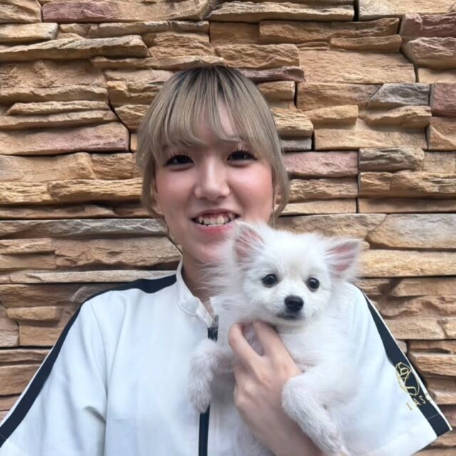 #担当犬 🐶が来ました⭐️

 #ポメラニアン の「ぷりん」ちゃんです🍮

ご飯をよく食べる元気いっぱいな女の子です💕

これから一緒に訓練頑張ろう🎶
🐾
🐾
🐾
#いばらきどうぶつ専門学校 #いばらき動物専門学院 #動物専門学校 #動物 #トリマー #ドッグトレーナー #家庭犬訓練士 #動物看護師 #動物臨床助士 #飼育員 #🐶 #dog #doglover #土浦 #土浦駅 #水戸 #水戸動物専門学校  #つくば #日立 #担当犬 #パートナードッグ #犬 #かわいい⁡⁡#オンリーワンちゃん #ポメ #ポメラニアン