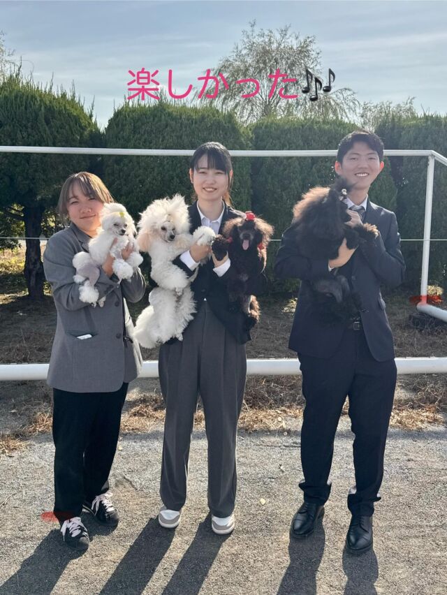 本日は学生が#ドッグショー に出場してきました🐩💓

今日のドッグショーに向けて沢山練習してきました💪🐶
#ショーカット 2年生は、もう1人で仕上げられるまで成長しました😲💕

保護者の皆様、たくさんサポートいただきありがとうございました😊

次回も日頃の成果を発揮できるように頑張っていきます‼️

🐾
🐾
🐾
#iASC #いば動 #茨城 #動物 #専門 #学校  #犬 #いぬ #オープンキャンパス #個別面談  #トリマー #ドッグトレーナー #トリマーの卵からプロトリマーへ #動物看護師 #飼育員 #動物だいすき  #ぷーどる #担当犬 #ライセンス取得 #仔犬 #パピー #実習 #パートナードッグ #プードル #トイプードル #ドッグショー #セカンドパピークリップ #現役のプロから教わる授業