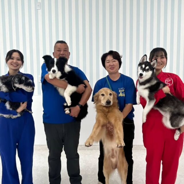 #訓練実習 は犬🐶のしつけ、訓練教室オーナーのS先生とH先生の授業でした✨

今日は競技会の模擬訓練とアジリティを行いました‼️
2年生も１年生も競技会で活躍出来るようたくさんアドバイスをいただきました😊

アジリティではコースを組んで応用的な事を教えて頂きました🐕️💫

先生、次回もよろしくお願いいたします🙇
🐾⁡
⁡🐾⁡
⁡🐾
⁡⁡⁡⁡#いばらきどうぶつ専門学校 #いばらき動物専門学院 #動物専門学校 #いばどう #土浦市 #トリマー #ドッグトレーナー #動物看護師 #動物臨床助士 #飼育員 #ライセンス取得 #実習 #パートナードッグ #可愛い #iASC #いば動 #茨城 #動物 #専門 #学校 #犬 #オープンキャンパス #個別面談 #水戸動物専門学校 #dogschoolzero⁡ #現役のプロから教わる授業