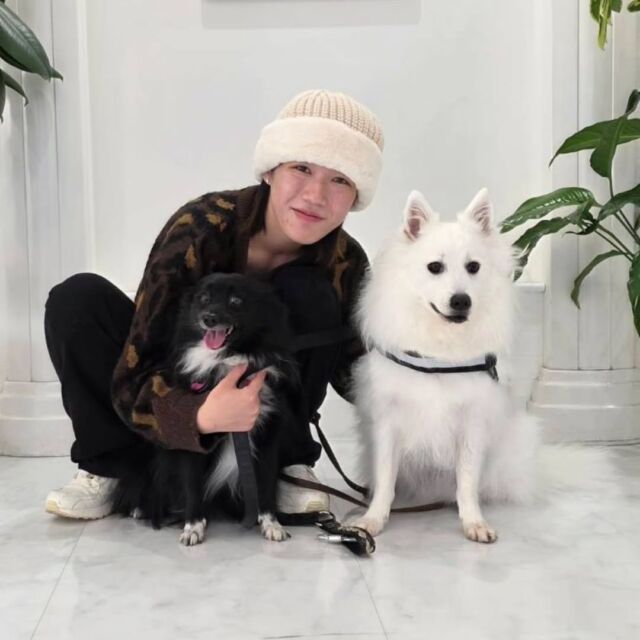 #卒業生 たちが遊びに来てくれました✨

#担当犬 の#ポメラニアン つきのちゃん🌛、#日本スピッツ のりんくん🔔、写真にはいませんが、#トイプードル のあーちゃんも来てくれました👏💕

訓練科の学生たちが触ったり、訓練もさせてもらっていました🎶

また遊びに来てね☺️
🐾
🐾
🐾⁡
⁡⁡⁡#いばらきどうぶつ専門学校 #いばらき動物専門学院 #動物専門学校 #いばどう #土浦市 #トリマー #ドッグトレーナー #動物看護師 #動物臨床助士 #飼育員 #実習 #パートナードッグ  #iASC #いば動 #茨城 #動物 #専門 #学校 #犬 #オープンキャンパス #体験会 #水戸動物専門学校  #可愛い卒業生 #iASC自慢の卒業生