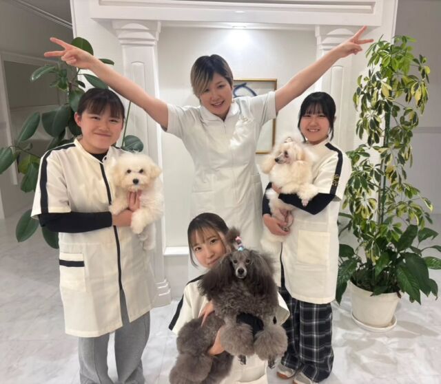 本日は現役のカリスマトリマーのＭ先生が指導に来てくださりました✨

今日は担当犬のショーカットを学びました🙌🏻

1年生はビションのショーカットに苦戦している様子でしたが、自分でできるようにメモをとりながら丁寧にご指導くださいました📚✍🏻

本日もありがとうございました。
次回もまたよろしくお願いします🥰
🐾
🐾
🐾
#いばらきどうぶつ専門学校 #いばらき動物専門学院 #動物専門学校 #いばどう #土浦市 #トリマー #ドッグトレーナー #動物看護師 #動物臨床助士 #飼育員 #ライセンス取得 #実習 #パートナードッグ #可愛い #iASC #いば動 #茨城 #動物 #専門 #学校 #犬 #個別面談 #体験会 #現役のプロから教わる授業#トイ・プードル#プードル#トイプー