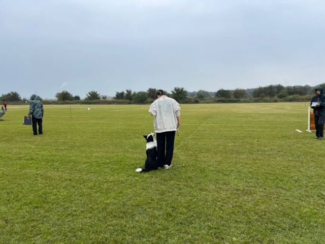 本日は#訓練競技会 に出場してきました❗️

1年生は初めての訓練競技会出場でした✨

今回2年生は担当犬、１年生は訓練のモデル犬で挑戦🔥
学生たちはこれまでの練習の成果を発揮し見事に入賞できました😊

次の競技会はさらにいい結果が出せるように訓練頑張っていこうね‼️
⁡🐾⁡
⁡🐾⁡
⁡🐾⁡
⁡⁡⁡⁡⁡⁡⁡⁡#いばらきどうぶつ専門学校 #いばらき動物専門学院 #動物専門学校 #いばどう #土浦市 #トリマー #ドッグトレーナー #動物看護師 #動物臨床助士 #飼育員 #ライセンス取得 #実習 #パートナードッグ #可愛い #iASC #いば動 #茨城 #動物 #専門 #学校 #犬 #オープンキャンパス #個別面談  #訓練大会  #シェットランドシープドッグ#ボーダーコリー＃トイプードル  #マルチーズ #ゴールデンレトリバー