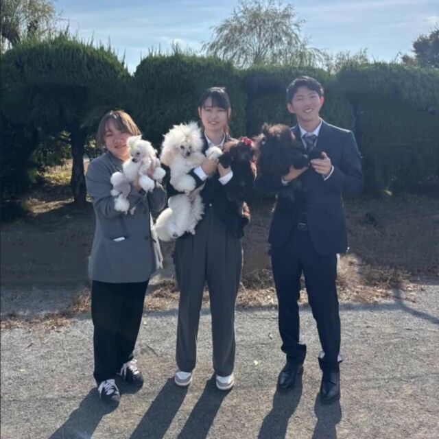 学生が#ドッグショー に出場してきました🐩💓

ドッグショーに向けて#ショーカット を沢山練習してきた成果が出せました💪🐶
その結果✨
リボンを貰うことが出来ました🏆✨

次回も良い成績がとれるようもっともっと頑張っていきます‼️💪

みんなお疲れ様でした😊
🐾
🐾
🐾
#動物看護師 #飼育員 #動物だいすき  #ぷーどる #担当犬 #ライセンス取得 #仔犬 #赤ちゃん #実習 #パートナードッグ #可愛い #iASC #いば動 #茨城 #動物 #専門 #学校  #犬 #いぬ #オープンキャンパス #個別面談 #トイプードル #ドッグショー #セカンドパピークリップ #現役のプロから教わる授業