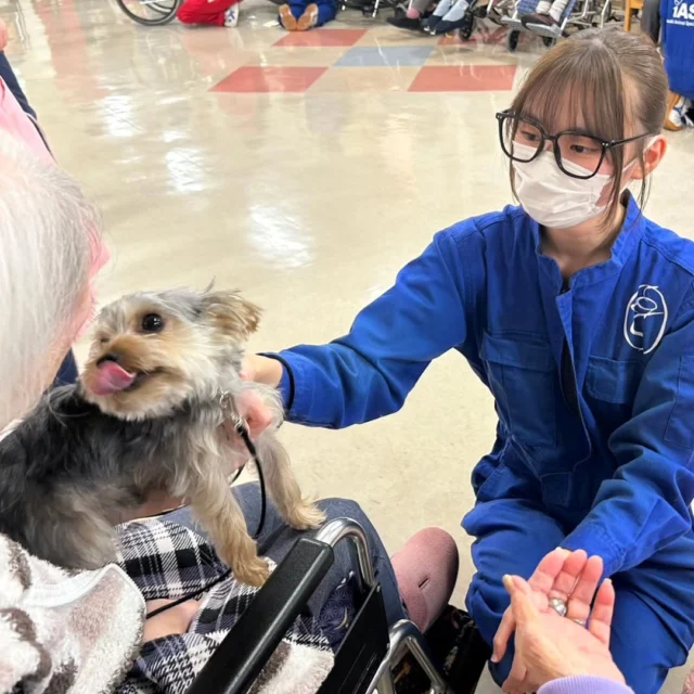 今日は #アニマルセラピー 🐶🌼に行ってきました✨

　
今日もたくさんの方に抱っこして頂きました😊💕
膝の上で眠ってしまうワンちゃん🐶もいました💤
たくさんお話できてとても楽しかったです✨

今日はありがとうございました🎶
またよろしくお願い致します🙇‍♀️
🐾
🐾
🐾⁡
⁡⁡⁡⁡⁡⁡#いばらきどうぶつ専門学校 #いばらき動物専門学院 #動物専門学校 #いばどう #土浦市 #トリマー #ドッグトレーナー #動物看護師 #動物臨床助士 #飼育員 #ライセンス取得 #実習 #パートナードッグ #可愛い #iASC #いば動 #茨城 #動物 #専門 #学校 #犬 #オープンキャンパス⁡ #個別相談⁡ #セラピー⁡  #トイプードル