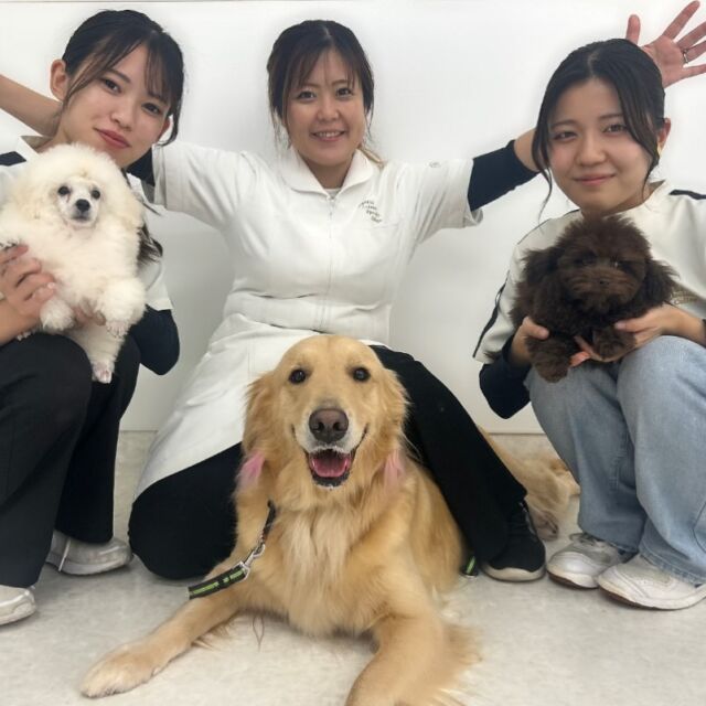 本日はペットサロンオーナーN先生による #美容実習 でした🐶✨

技術だけではなく、社会に出たときに必要なポイント等など様々な面でご指導いただき、学生達にとってもとても良い勉強になりました📖५✍

可愛い仔犬ちゃんとN先生の愛犬「どる」ちゃんとお写真📸🫶

本日はありがとうございました。
次回もまたお願いします🙏
🐾
🐾
🐾
#いばらきどうぶつ専門学校 #いばらき動物専門学院 #動物専門学校 #動物 #トリマー #ドッグトレーナー #家庭犬訓練士 #動物看護師 #動物臨床助士 #飼育員 #🐶 #dog #doglover #土浦 #土浦駅 #水戸 #水戸動物専門学校  #つくば #日立 #担当犬 #パートナードッグ #犬 #かわいい⁡⁡#オンリーワンちゃん