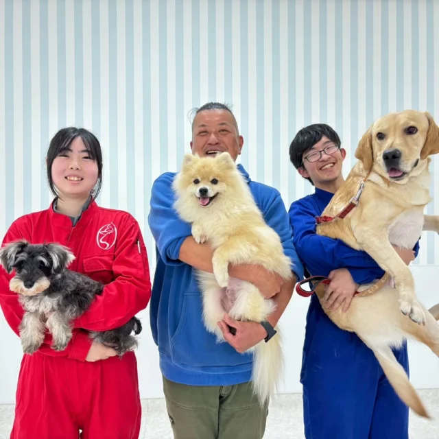 #訓練実習 は犬🐶のしつけ、訓練教室オーナーのS先生と授業でした✨

今日は服従訓練をメインで見ていただきました‼️
みんなよく頑張りました👏💕

先生、次回もよろしくお願いいたします🙇
🐾⁡
⁡🐾⁡
⁡🐾
⁡⁡⁡⁡#いばらきどうぶつ専門学校 #いばらき動物専門学院 #動物専門学校 #いばどう #土浦市 #トリマー #ドッグトレーナー #動物看護師 #動物臨床助士 #飼育員 #ライセンス取得 #実習 #パートナードッグ #可愛い #iASC #いば動 #茨城 #動物 #専門 #学校 #犬 #オープンキャンパス #個別面談 #水戸動物専門学校 #dogschoolzero⁡ #現役のプロから教わる授業