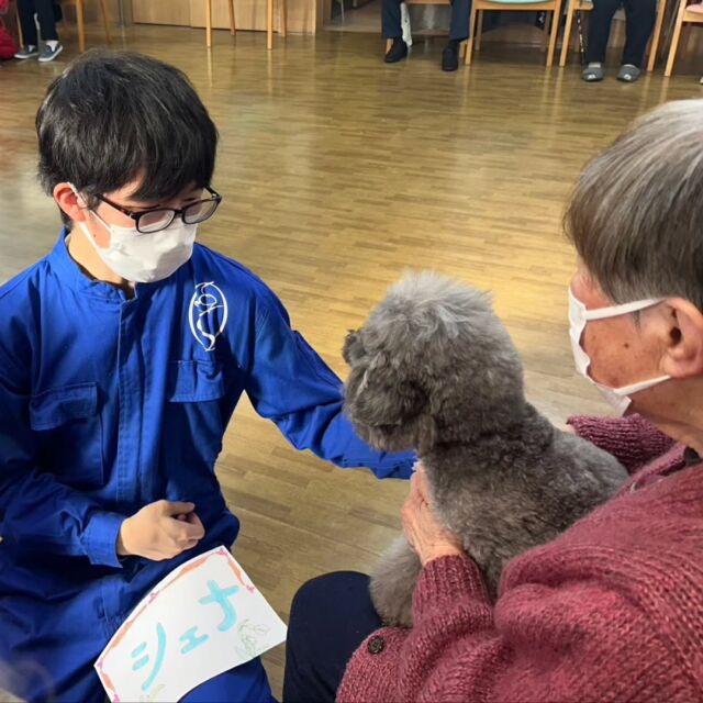 #アニマルセラピー 🐶🌼に行ってきました✨
　
ワンちゃん🐶が好きな方が多く抱っこしてもらいいっぱい撫でてもらいました💕　

ワンちゃん🐶たちもリラックスして寝ている💤ワンちゃんもいました!!

また癒やしをお届けに行きます✨

今日はありがとうございました🎶
またよろしくお願い致します🙇‍♀️
🐾
🐾
🐾⁡
⁡⁡⁡⁡⁡⁡#いばらきどうぶつ専門学校 #いばらき動物専門学院 #動物専門学校 #いばどう #土浦市 #トリマー #ドッグトレーナー #動物看護師 #動物臨床助士 #飼育員 #ライセンス取得 #実習 #パートナードッグ #可愛い #iASC #いば動 #茨城 #動物 #専門 #学校 #犬 #オープンキャンパス⁡ #個別相談⁡ #セラピー⁡  #トイプードル