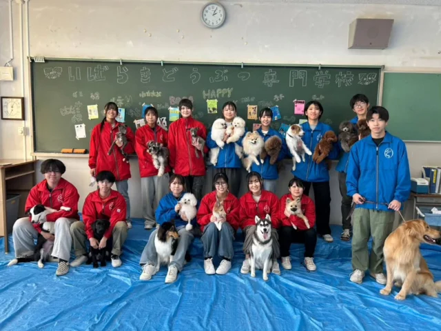 今日は高校の文化祭に参加させて頂きました🏫🥳

ワンちゃん🐶とのふれあいコーナー😃✨
おやつあげ体験😋🍩外でふれあいとお散歩をしました🐕️

たくさんの方におやつをもらい、なでて頂きワンちゃん達も大満足でした💕

ご来場いただきありがとうございました❗
🐾⁡
⁡🐾⁡
⁡🐾⁡
⁡⁡⁡⁡⁡⁡⁡#いばらきどうぶつ専門学校 #いばらき動物専門学院 #動物専門学校 #いばどう #土浦市 #トリマー #ドッグトレーナー #動物看護師 #動物臨床助士 #飼育員 #ライセンス取得 #実習 #パートナードッグ #可愛い #iASC #いば動 #茨城 #動物 #専門 #学校 #犬 #オープンキャンパス #個別面談 #体験会