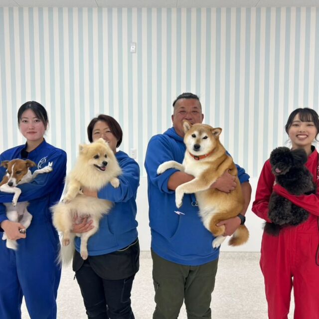 #訓練実習 は犬🐶のしつけ、訓練教室オーナーのS先生とH先生の授業でした✨

今日は競技会の模擬訓練と基礎訓練をメインで行いました‼️
競技会にむけてアドバイスをたくさん頂きました☺️

先生、次回もよろしくお願いいたします🙇
🐾⁡
⁡🐾⁡
⁡🐾
⁡⁡⁡⁡#いばらきどうぶつ専門学校 #いばらき動物専門学院 #動物専門学校 #いばどう #土浦市 #トリマー #ドッグトレーナー #動物看護師 #動物臨床助士 #飼育員 #ライセンス取得 #実習 #パートナードッグ #可愛い #iASC #いば動 #茨城 #動物 #専門 #学校 #犬 #オープンキャンパス #個別面談 #水戸動物専門学校 #dogschoolzero⁡ #現役のプロから教わる授業