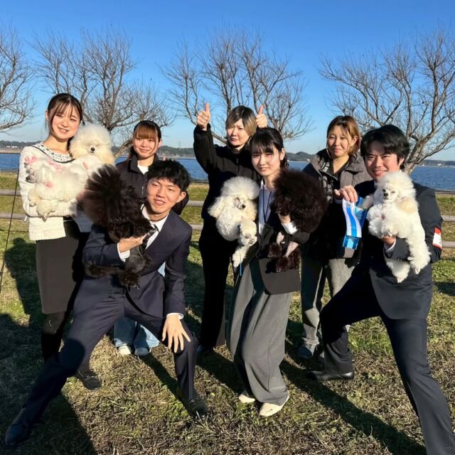 学生が#ドッグショー に出場してきました🌟

ドッグショーに向けて#ショーカット や#ハンドリング を練習してきた成果が発揮できました💪🔥

その結果✨リボンを貰うことが出来ました🏆✨
クラスの中で一番を取ることも出来ました！

次回も良い成績がとれるようもっと頑張っていきます‼️💪

みんなお疲れ様でした🥰
🐾
🐾
🐾
#動物看護師 #飼育員 #動物だいすき  #ぷーどる #担当犬 #ライセンス取得 #仔犬 #赤ちゃん #実習 #パートナードッグ #可愛い #iASC #いば動 #茨城 #動物 #専門 #学校  #犬 #いぬ #オープンキャンパス #個別面談 #トイプードル #ドッグショー #セカンドパピークリップ #現役のプロから教わる授業