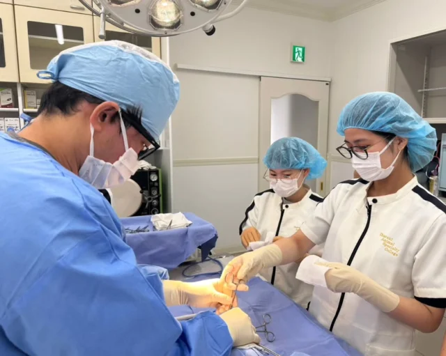 本日は獣医師N先生による #避妊手術 と座学を行いました💫

動物病院に就職するにあたり必要なスキルや人柄等を詳しく教えてくださいました🌟

また、手術時の麻酔や器具出しのポイントも丁寧に教えていただきました🥰

みんな今日もお疲れ様でした👏💕

N先生、本日もありがとうございました🙇
次回もよろしくお願いいたします✨
🐾
 🐾
 🐾
 #いばらきどうぶつ専門学校 #いばらき動物専門学院 #動物専門学校 #いばどう #土浦市 #トリマー #ドッグトレーナー #動物看護師 #動物臨床助士 #飼育員 #ライセンス取得 #実習 #パートナードッグ #可愛い #iASC #いば動 #茨城 #動物 #専門 #学校 #犬 #オープンキャンパス #個別面談 #体験会 #水戸動物専門学校 #現役のプロから教わる授業 #動物病院