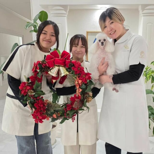 本日のオープンキャンパスには現役カリスマトリマーのM先生が来てくださいました💓

今回も丁寧で綺麗なカットを教えていただきました✨
明日はドッグショーもあるので、ショーカットとセットアップも見ていただきました😃

本日もありがとうございました‼️
次回もまたよろしくお願いします🙇
🐾
🐾
🐾
⁡⁡⁡⁡⁡⁡#いばらきどうぶつ専門学校 #いばらき動物専門学院 #動物専門学校 #いばどう #土浦市 #トリマー #ドッグトレーナー #動物看護師 #動物臨床助士 #飼育員 #ライセンス取得 #実習 #パートナードッグ #可愛い #iASC #いば動 #茨城 #動物 #専門 #学校 #犬#シュナウザー #オープンキャンパス #個別面談 #体験会 #水戸動物専門学校
