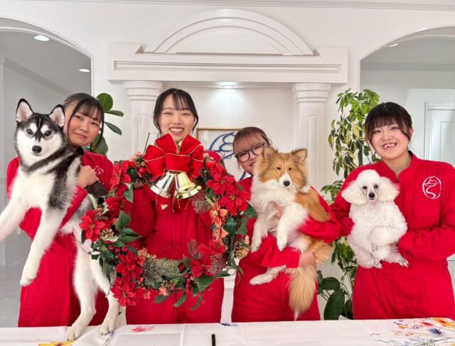 本日はオープンキャンパスにご参加いただきありがとうございました✨

寒い中たくさんの方に来ていただき、可愛いワンちゃん🐶たちと体験してくれました💕

今回で年内のオープンキャンパスは最後になります‼️
来年も元気な学生たちと可愛いワンちゃん🐶たちとお待ちしております🎶　

次回のオープンキャンパスは1月17日(土)です✨

イベントの日程やご予約はプロフィール欄から
HPへGO👉@iasc_iasc
🐾
🐾
🐾
⁡⁡⁡⁡⁡⁡#いばらきどうぶつ専門学校 #いばらき動物専門学院 #動物専門学校 #いばどう #土浦市 #トリマー #ドッグトレーナー #動物看護師 #動物臨床助士 #飼育員 #ライセンス取得 #パートナードッグ #iASC #いば動 #茨城 #動物 #専門 #学校 #犬 #オープンキャンパス #個別面談 #体験会 #水戸動物専門学校 #トイプードル #シェルティ #ハスキー