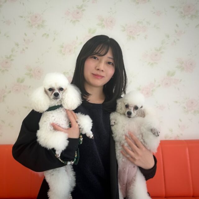 #卒業生 が遊びに来てくれました👏✨

学生の頃の推しワンコ #トイプードル の｢ジャズ｣ちゃんをお迎えに来てくれました︎💕︎
⁡
担当犬の｢エメ｣✨ちゃんと一緒に来てくれました‼️
⁡
今日から家族として、素敵な時間を作ってください🥰
また遊びにきてね🤗
🐾
🐾
🐾⁡
⁡⁡⁡#いばらきどうぶつ専門学校 #いばらき動物専門学院 #動物専門学校 #いばどう #土浦市 #トリマー #ドッグトレーナー #動物看護師 #動物臨床助士 #飼育員 #実習 #パートナードッグ #可愛い #iASC #いば動 #茨城 #動物 #専門 #学校 #犬 #オープンキャンパス #体験会 #水戸動物専門学校  #トイプードル #プードル  #可愛い卒業生 #iASC自慢の卒業生