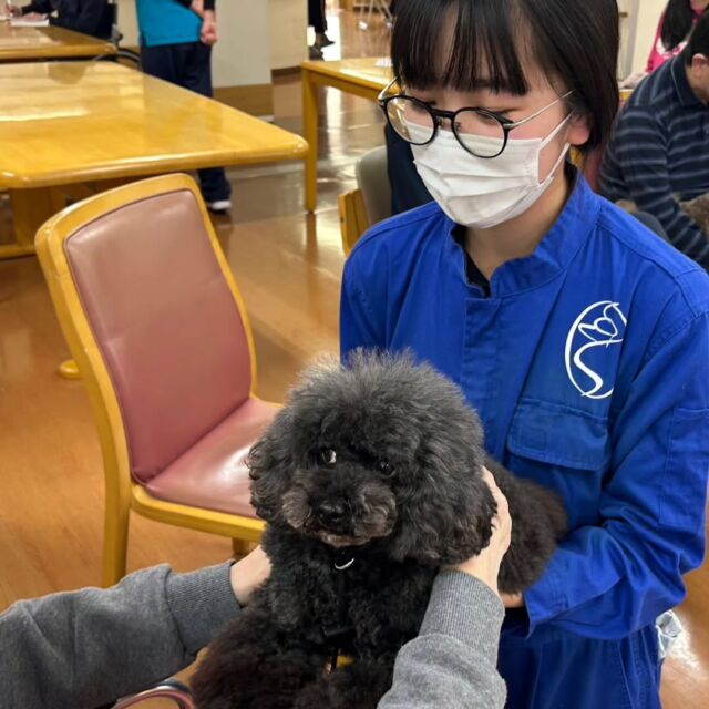 #アニマルセラピー 🐶🌼に行ってきました✨
　
ワンちゃんを飼っている方が多く、抱っこしてもらいいっぱい撫でてもらいました💕　

また癒やしをお届けに行きます✨

今日はありがとうございました🎶
またよろしくお願い致します🙇‍♀️
🐾
🐾
🐾⁡
⁡⁡⁡⁡⁡⁡#いばらきどうぶつ専門学校 #いばらき動物専門学院 #動物専門学校 #いばどう #土浦市 #トリマー #ドッグトレーナー #動物看護師 #動物臨床助士 #飼育員 #ライセンス取得 #実習 #パートナードッグ #可愛い #iASC #いば動 #茨城 #動物 #専門 #学校 #犬 #オープンキャンパス⁡ #個別相談⁡ #セラピー⁡  #トイプードル