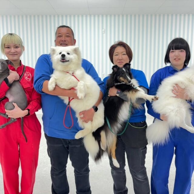 #訓練実習 は犬🐶のしつけ、訓練教室オーナーのS先生とH先生の授業でした✨

今日は訓練とアジリティの授業を行いました‼️
アジリティでは1年生は単品の障害物の練習、2年生は実際にコースを組んで練習しました✨

2年生はリードを離しても上手にコントロール出来ました🐾

先生、次回もよろしくお願いいたします🙇
🐾⁡
⁡🐾⁡
⁡🐾
⁡⁡⁡⁡#いばらきどうぶつ専門学校 #いばらき動物専門学院 #動物専門学校 #いばどう #土浦市 #トリマー #ドッグトレーナー #動物看護師 #動物臨床助士 #飼育員 #ライセンス取得 #実習 #パートナードッグ #可愛い #iASC #いば動 #茨城 #動物 #専門 #学校 #犬 #オープンキャンパス #個別面談 #水戸動物専門学校 #dogschoolzero⁡ #現役のプロから教わる授業