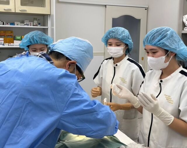本日は獣医師K先生による #避妊手術 とスケーリング実習を行いました🌟🦷

歯を綺麗にする際のコツと短時間で行うポイント、麻酔時の詳しい注意点と麻酔のかけ方を教えていただきました💕📕

みんな今日もお疲れ様☺️💫

K先生、本日もありがとうございました🙇
明日もよろしくお願いいたします✨
🐾
 🐾
 🐾
 #いばらきどうぶつ専門学校 #いばらき動物専門学院 #動物専門学校 #いばどう #土浦市 #トリマー #ドッグトレーナー #動物看護師 #動物臨床助士 #飼育員 #ライセンス取得 #実習 #パートナードッグ #可愛い #iASC #いば動 #茨城 #動物 #専門 #学校 #犬 #オープンキャンパス #個別面談 #体験会 #水戸動物専門学校 #現役のプロから教わる授業 #動物病院
