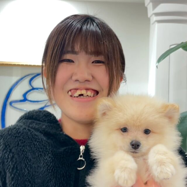 #担当犬 🐶が来ました⭐️

#ポメラニアン の「ぽん」くんです🍩

とっても元気な男の子💙

これから一緒に訓練頑張ろう🎶
🐾
🐾
🐾
#いばらきどうぶつ専門学校 #いばらき動物専門学院 #動物専門学校 動物 トリマー ドッグトレーナー 家庭犬訓練士 動物看護師 動物臨床助士 飼育員 🐶 dog doglover 土浦 土浦駅 水戸 水戸動物専門学校  つくば 日立 担当犬 パートナードッグ 犬 かわいい⁡⁡オンリーワンちゃん ポメ ポメラニアン