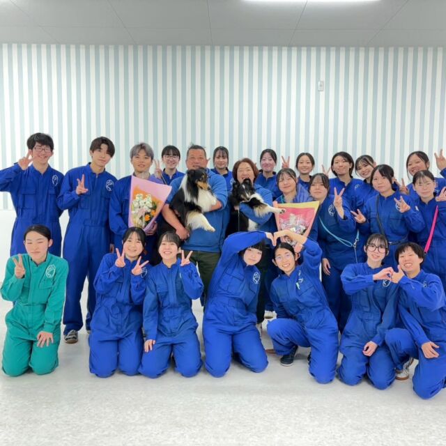 #訓練実習 は犬🐶のしつけ、訓練教室オーナーのS先生とH先生の授業でした✨

今日は訓練とアジリティの授業を行いました‼️
訓練では全体で合わせて行う集団訓練を行いました💫
みんなかっこよく出来ました🐾
2年生は卒業まであと少し😢
楽しんで行きましょう☺️

先生、次回もよろしくお願いいたします🙇
🐾⁡
⁡🐾⁡
⁡🐾
⁡⁡⁡⁡#いばらきどうぶつ専門学校 #いばらき動物専門学院 #動物専門学校 #いばどう 土浦市 トリマー ドッグトレーナー 動物看護師 動物臨床助士 飼育員 ライセンス取得 実習 パートナードッグ 可愛い iASC いば動 茨城 動物 専門 学校 犬 オープンキャンパス 個別面談 水戸動物専門学校 dogschoolzero⁡ 現役のプロから教わる授業
