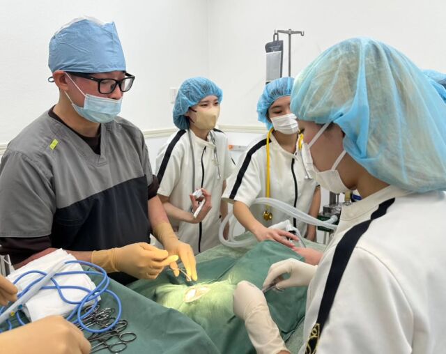 本日は獣医師N先生による #手術実習 と座学、ワクチン実習なとを行いました🌟

大きい子の保定の仕方や留置の際の保定の仕方のポイント、手術準備の際に気をつけなければいけない事などを詳しく教えていただきました💉📖

みんな今日もお疲れ様🥰

N先生、本日もありがとうございました🙇
次回もよろしくお願いいたします✨
🐾
 🐾
 🐾
 #いばらきどうぶつ専門学校 #いばらき動物専門学院 #動物専門学校 #いばどう 土浦市 トリマー ドッグトレーナー 動物看護師 動物臨床助士 飼育員 ライセンス取得 実習 パートナードッグ 可愛い iASC いば動 茨城 動物 専門 学校 犬 オープンキャンパス 個別面談 体験会 水戸動物専門学校 現役のプロから教わる授業 動物病院