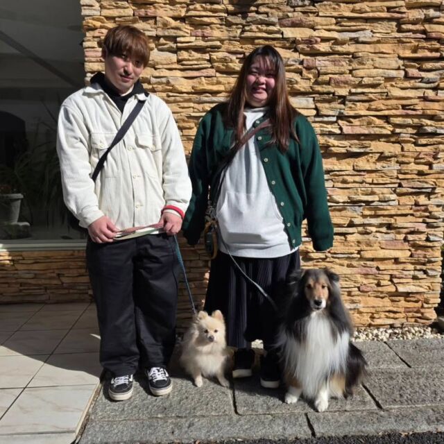 #卒業生 が遊びに来てくれました👏✨

#担当犬 の#シェットランドシープドッグ のりくくんと#ポメラニアン のポンちゃんも一緒に来てくれました💕✨

今日は犬の保育園をオープンする報告に来てくれました👏
卒業生から活躍している報告が聞けて嬉しいです🥰

また遊びにきてね🤗
🐾
🐾
🐾⁡
⁡⁡⁡#いばらきどうぶつ専門学校 いばらき動物専門学院 動物専門学校 いばどう 土浦市 トリマー ドッグトレーナー 動物看護師 動物臨床助士 飼育員 実習 パートナードッグ 可愛い iASC いば動 茨城 動物 専門 学校 犬 オープンキャンパス 体験会 水戸動物専門学校  可愛い卒業生 iASC自慢の卒業生