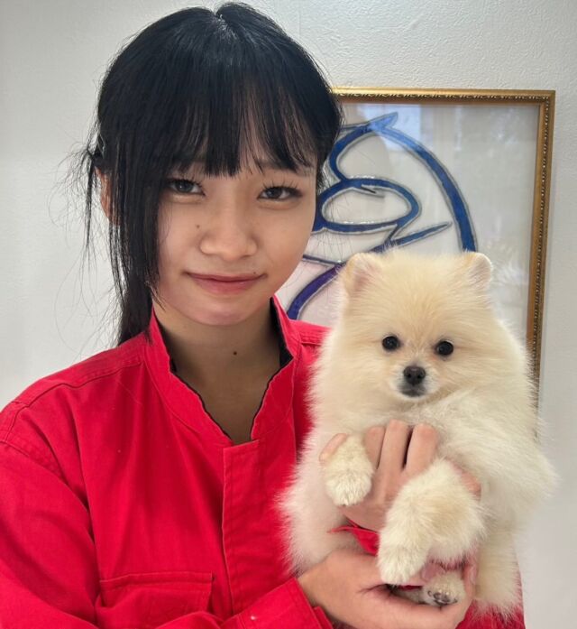 #担当犬 🐶が来ました⭐️

#ポメラニアン の「つな」ちゃんです🐟︎💕︎
⁡
元気いっぱい愛嬌いっぱい好奇心旺盛‼️
これからの訓練たのしみだね😎💞
🐾
🐾
🐾
#いばらきどうぶつ専門学校 #いばらき動物専門学院 #動物専門学校 動物 トリマー ドッグトレーナー 家庭犬訓練士 動物看護師 動物臨床助士 飼育員 🐶 dog doglover 土浦 土浦駅 水戸 水戸動物専門学校  つくば 日立 担当犬 パートナードッグ 犬 かわいい⁡⁡オンリーワンちゃん ポメ ポメラニアン