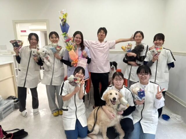 今週は獣医師I先生と動物看護師M先生による手術実習がありました✨ ⁡
⁡
2年生はI先生やM先生、最後授業の実習でした😢
先生達から一人一人プレゼントをいただきました〜🙇🙌✨
ありがとうございます❣️

みんな今日もお疲れ様💕

I 先生、M先生、今週もありがとうございました✨
次回もよろしくお願い致します！
🐾
 🐾
 🐾
 #いばらきどうぶつ専門学校 #いばらき動物専門学院 #動物専門学校 #いばどう #土浦市