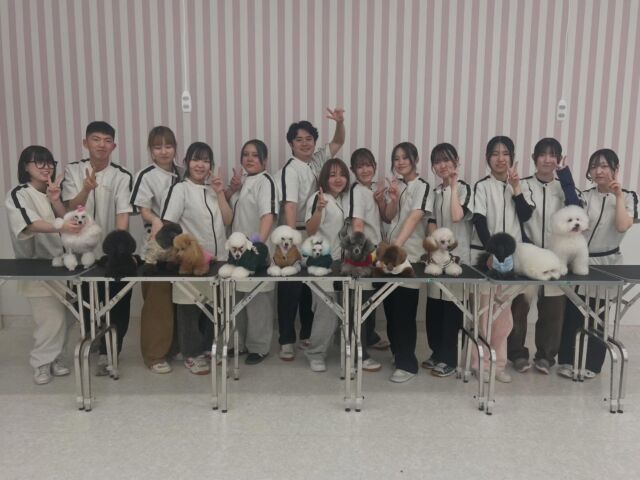 2年生の#担当犬 のカットダウンしました〜🐶✂️
⁡
今まで大変なこともあったけどここまで立派に育ててくれてありがとう。
⁡
最後はみんなの好きなカットスタイルに🪄︎︎✨
よく頑張りました🐶👧👦
🐾
🐾
🐾 
#いばらきどうぶつ専門学校 #いばらきどうぶつ専門学校 専門学校 #iASC #いば動 卒業 茨城 動物 専門 学校  土浦 犬 いぬ 🐶 ねこ 猫 担当犬 パートナードッグ トリマー ドッグトレーナー 動物看護師 飼育員 いぬすたぐらむ ペット いぬのきもち ふわもこ部 犬好きさんと繋がりたい
