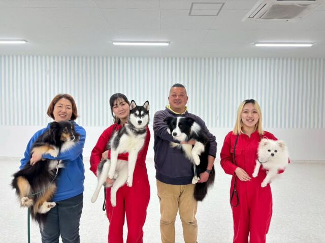 #訓練実習 は犬🐶のしつけ、訓練教室オーナーのS先生とH先生の授業でした✨

今日は基礎訓練をメインで行いました💫

午後は競技会形式での練習💕いい緊張感で練習出来ました💦

先生、次回もよろしくお願いいたします🙇
🐾⁡
⁡🐾⁡
⁡🐾
⁡⁡⁡⁡#いばらきどうぶつ専門学校 いばらき動物専門学院 #動物専門学校 #いばどう 土浦市 トリマー ドッグトレーナー 動物看護師 動物臨床助士 飼育員 ライセンス取得 実習 パートナードッグ 可愛い iASC いば動 茨城 動物 専門 学校 犬 オープンキャンパス 個別面談 水戸動物専門学校 dogschoolzero⁡ #現役のプロから教わる授業