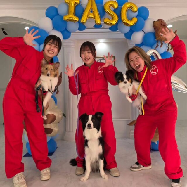 本日はオープンキャンパスにご参加いただきありがとうございました✨

2年生が卒業して最初のオープンキャンパス🐕️🐾
１年生頑張りました💮

体験も可愛い赤ちゃん🍼に癒されました💕　

イベントの日程やご予約はプロフィール欄から
HPへGO👉@iasc_iasc
🐾
🐾
🐾
⁡⁡⁡⁡⁡⁡#いばらきどうぶつ専門学校 #動物専門学校 #いばどう #在校生ありがとう