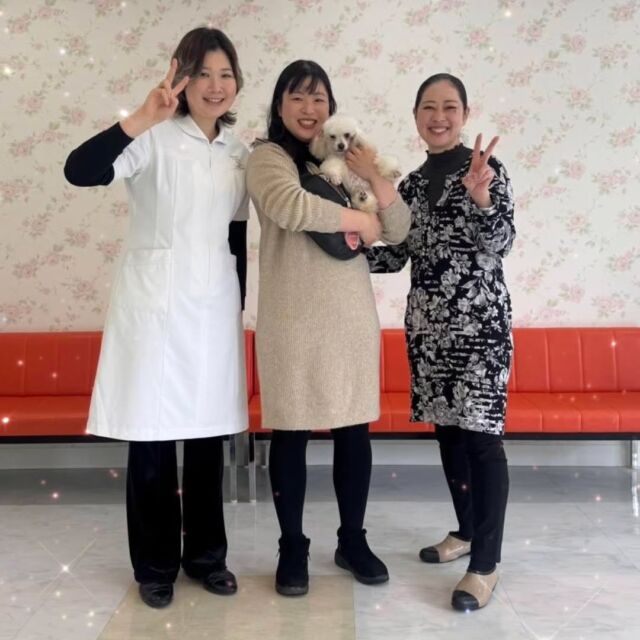 卒業生が遊びに来てくれました👏✨

お目々がキュルキュルのとっても可愛い女の子を引き取りに来てくださいました✨

これから幸せになってね😊

🐾
🐾
🐾⁡
⁡⁡⁡#いばらきどうぶつ専門学校 #いばらき動物専門学院 動物専門学校 #いばどう 土浦市 トリマー ドッグトレーナー 動物看護師 動物臨床助士 飼育員 実習 パートナードッグ 可愛い iASC いば動 茨城 動物 専門 学校 犬 オープンキャンパス 体験会 水戸動物専門学校  ミニチュアシュナウザー シュナウザー #可愛い卒業生 #iASC自慢の卒業生