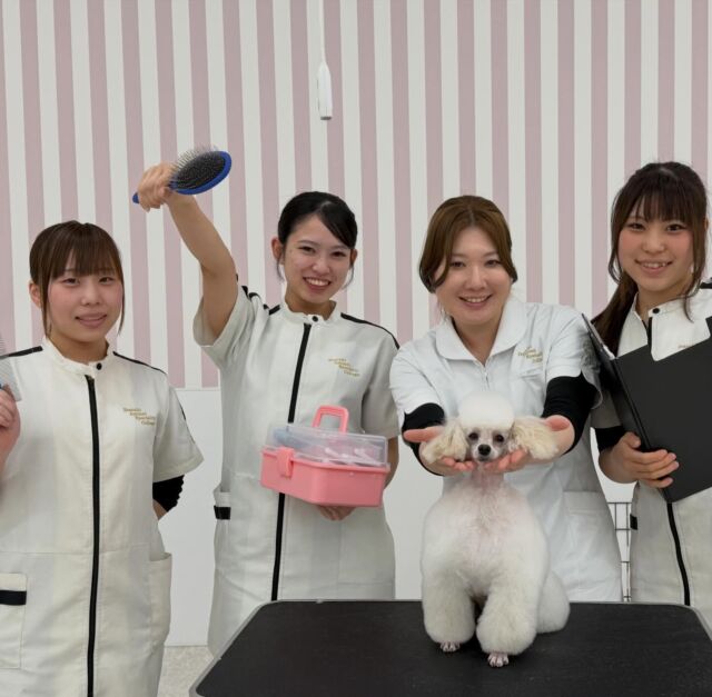 本日も‼️カリスマトリマーM先生による #講義実習 ✨

⁡今日はペットクリップ  #パジャマダッチ と #セットアップ のやり方を教えて頂きました☝️💫
⁡
細かい名称など覚えることはたくさんだけどこれからもっともっと成長していこうね👼🏻💞
⁡
たくさん吸収してどんどん上達していこう💪🔥
🐾
🐾
🐾
#いばらきどうぶつ専門学校