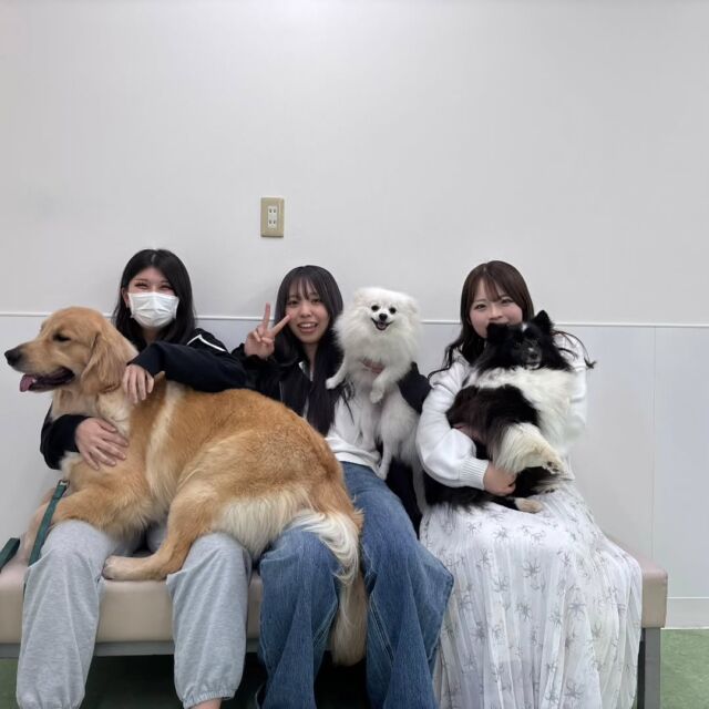 今日はオリエンテーションでした🐕️✨

教材の確認や自己紹介をしました📖✏️
先輩たちの担当犬紹介にも感激🤩

２年間🤗担当犬と一緒に学校生活頑張っていこうね🔥💪

#いばらきどうぶつ専門学校 #新入生 #いばどう #動物専門学校 #担当犬