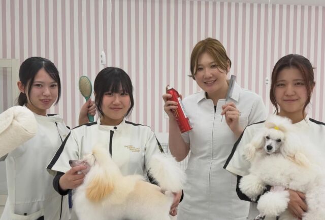 カリスマトリマーM先生による #講義実習 が行われました🐩✨️
 シャンプーブローから #パピークリップ  #イングリッシュサドルクリップ の講義実習📖✍️
⁡
新たな発見や正しいやり方など再確認するきっかけになりました👀💕
⁡
たくさん吸収してどんどん成長していこう💪🔥
🐾
🐾
🐾
#いばらきどうぶつ専門学校