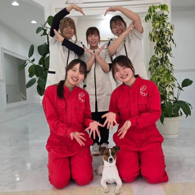 本日はオープンキャンパスにご参加いただきありがとうございました✨

新年度初のオープンキャンパス🌟
可愛いワンちゃんたちとたくさん体験していただきました💕

イベントの日程やご予約はプロフィール欄から
HPへGO👉@iasc_iasc
🐾
🐾
🐾
⁡⁡⁡⁡⁡⁡#いばらきどうぶつ専門学校 #動物専門学校 #いばどう #在校生ありがとう