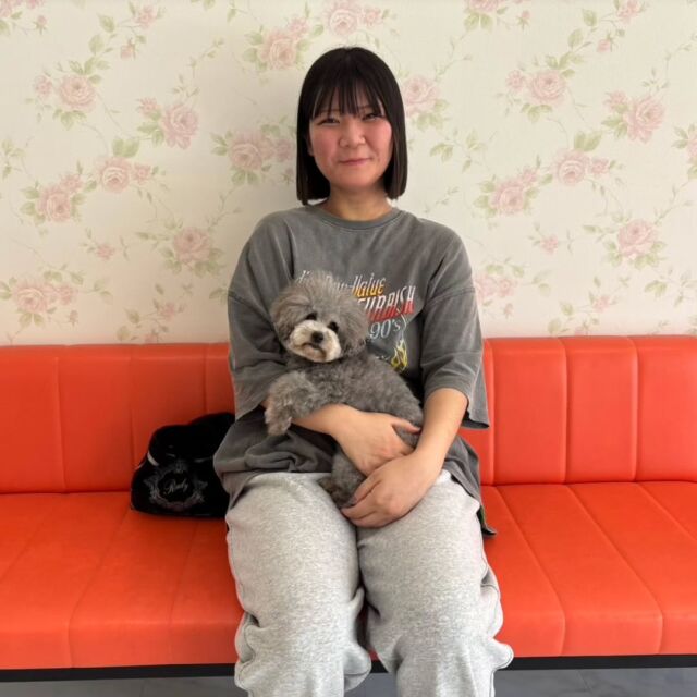 #卒業生 が遊びに来てくれました🐕️✨

 #トイプードル の｢モネ｣ちゃんをお迎えに来てくれました︎☁️
⁡
学生時代から大好きだったモネちゃん💕
これからもたくさん遊んでもらってね😊❣️

🐾
🐾
🐾⁡
⁡⁡⁡#いばらきどうぶつ専門学校