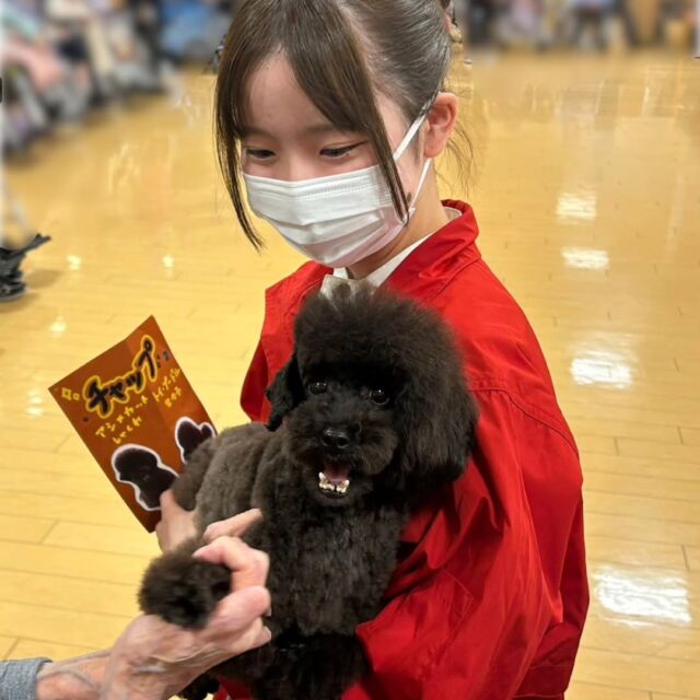 今日は#アニマルセラピー 🐶に行って来ました✨

ワンちゃんが大好きな方がたくさんいらっしゃったので、触れ合いながら楽しくお話することが出来ました😄

本日はありがとうございました🙇
またよろしくお願い致します✨
🐾
🐾
🐾
#いばらきどうぶつ専門学校 #動物専門学校 #いばどう